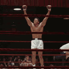 I Did It Cassius Clay GIF - I Did It Cassius Clay Muhammad Ali GIFs