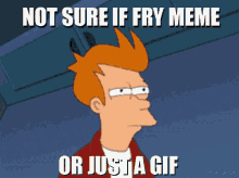 The Fry Meme Got Out Of Hand Imo And I Made This :P GIF - Futurama Philip J Fry Meme GIFs