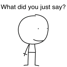 a drawing of a stick figure with the words " what did you just say " above it