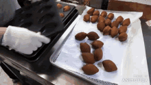 a bunch of food on a table with the words made in animatica on the bottom right