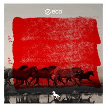 a picture of a herd of horses with the word eco on it