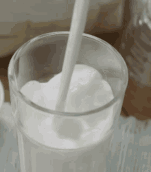 Mimosa Milk GIF