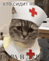 a cat wearing a nurse hat with a red cross
