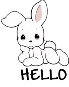 hello wink cute hi rabbit