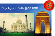 delhi holidyas tour packages same day tour indian holidays travel