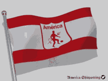 America America De Cali GIF - America America De Cali La Mechita GIFs