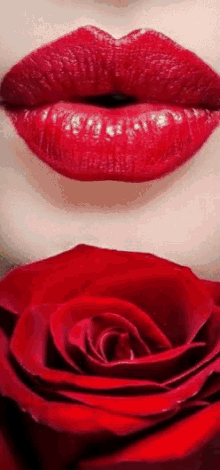 Rose Flowers GIF - Rose Flowers Lips GIFs