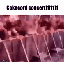 Cokecord Jakecord GIF - Cokecord Jakecord Lillicord GIFs