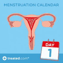 Menstruation Calendar GIF - Menstruation Calendar How GIFs