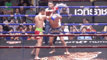 Muay Thai Elbow Boxing GIF - Muay Thai Elbow Boxing Fight GIFs