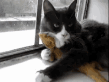 Kitty Luv GIF - Kitty Luv Nap Time GIFs