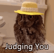 me judging you i am judging you judging you judgement owl