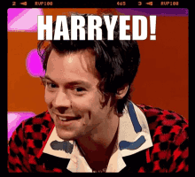 Harrryed Harry GIF - Harrryed Harry Styles GIFs