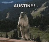 Austin Beaver GIF - Austin Beaver Yell GIFs