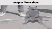 Cope Cat GIF - Cope Cat Dancing Cat GIFs