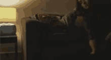 a person is laying on a couch in a dark room with a lamp in the background .