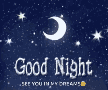 good night see you in my dreams