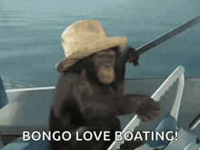 Monkey Boat GIF - Monkey Boat Driving GIFs
