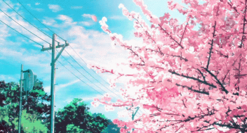 Anime Aesthetic Beautiful Sakura Cherry Blossoms GIF  GIFDBcom