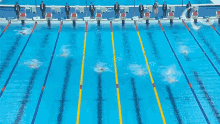 swimming wethe15 splashing racing competing