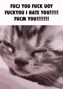 Hate You GIF - Hate You Fuck GIFs