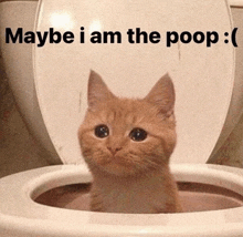 Maybe I Am The Poop Cat Sad GIF - Maybe I Am The Poop Cat Sad Depressed GIFs