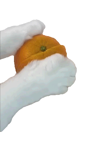 Splitting An Orange That Little Puff Sticker - Splitting An Orange That Little Puff Halving An Orange Stickers