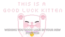 Cats This Is A Good Luck Kitten GIF - Cats This Is A Good Luck Kitten GIFs