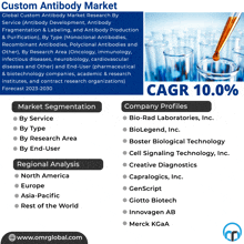 Custom Antibody Market GIF - Custom Antibody Market GIFs