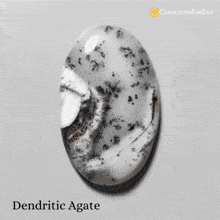 Dendritic Agate Stone Dendritic Agate Meaning GIF