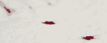 Blood Snow GIF - Blood Snow Aesthetic GIFs