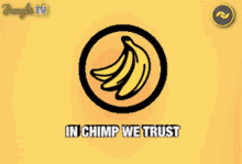 banano crypto nano chimp banana