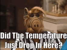 Alf Temperature Drop GIF - Alf Temperature Drop Did The Temperature Just Drop In Here GIFs