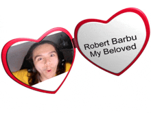 Robert Robert Barbu GIF - Robert Robert Barbu Barbu GIFs