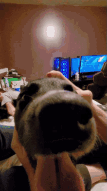 Snoot Dog GIF