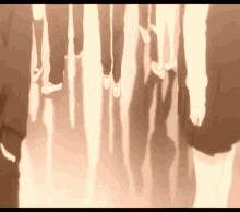 a group of people walking in a line with their shadows on the ground