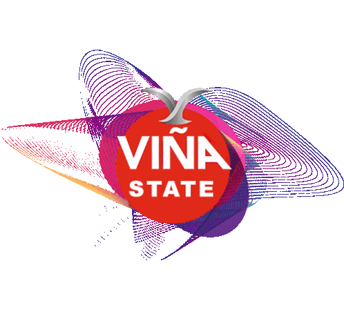 Viña State Sticker - Viña State Stickers