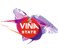 Viña State Sticker - Viña State Stickers