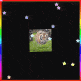 a tiger is flying through the air in a rainbow frame