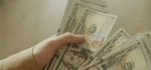 деньги доллары GIF - деньги доллары считать GIFs