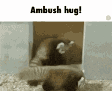 Ambush Hug GIF - Ambush Hug Panda GIFs