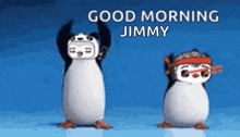 Morning Penguin GIF - Morning Penguin Dance Cute GIFs