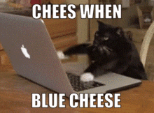 Chees Cheesqt GIF - Chees Cheesqt Blue Cheese GIFs