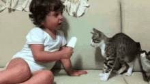 Cat Popsicle GIF - Cat Popsicle GIFs