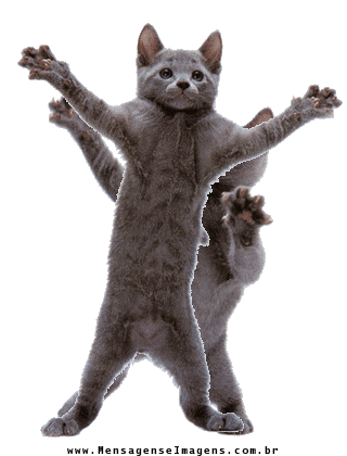 Vibing Crumb Cat Dancing GIF