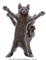 Cat Dancing Cat Sticker