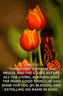 praise the lord thank god
