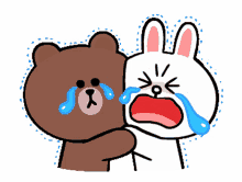brown and cony cony and brown brown bear cony line
