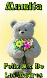 a teddy bear is holding a bouquet of flowers and says mamita