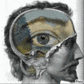 a black and white drawing of a man 's head with a picture of his eye inside of it